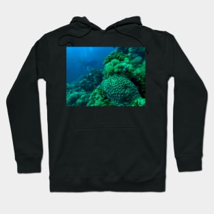 Red Sea coral reef Hoodie